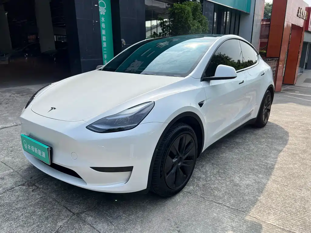 Tesla Model Y 2024 — фото 3