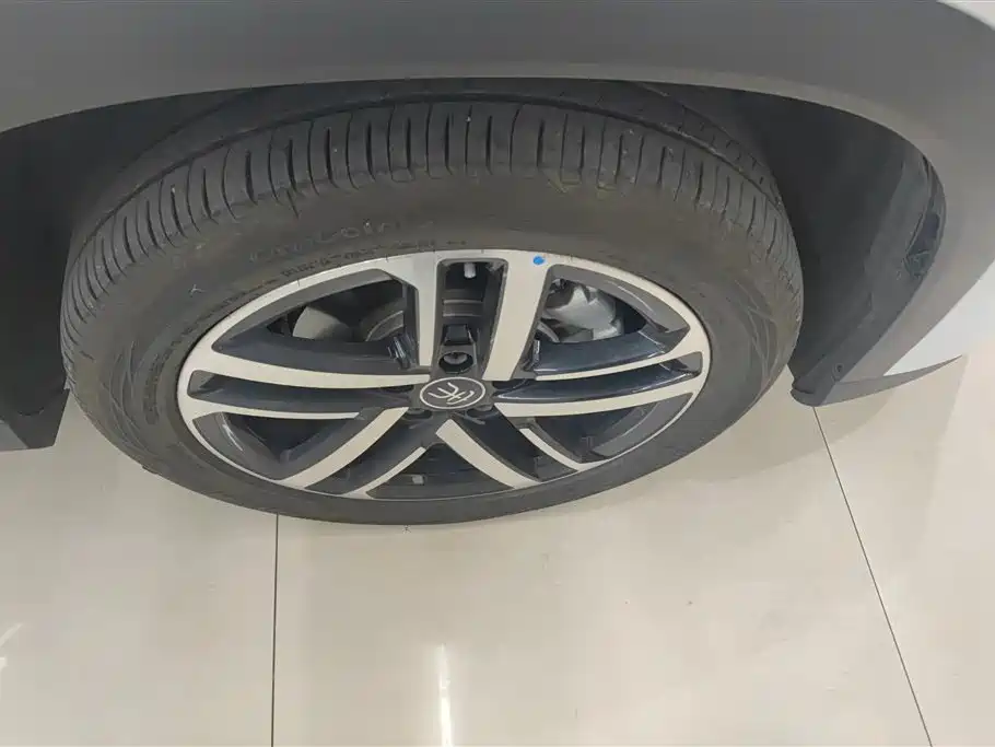 BYD L DM-i 2024 — фото 6
