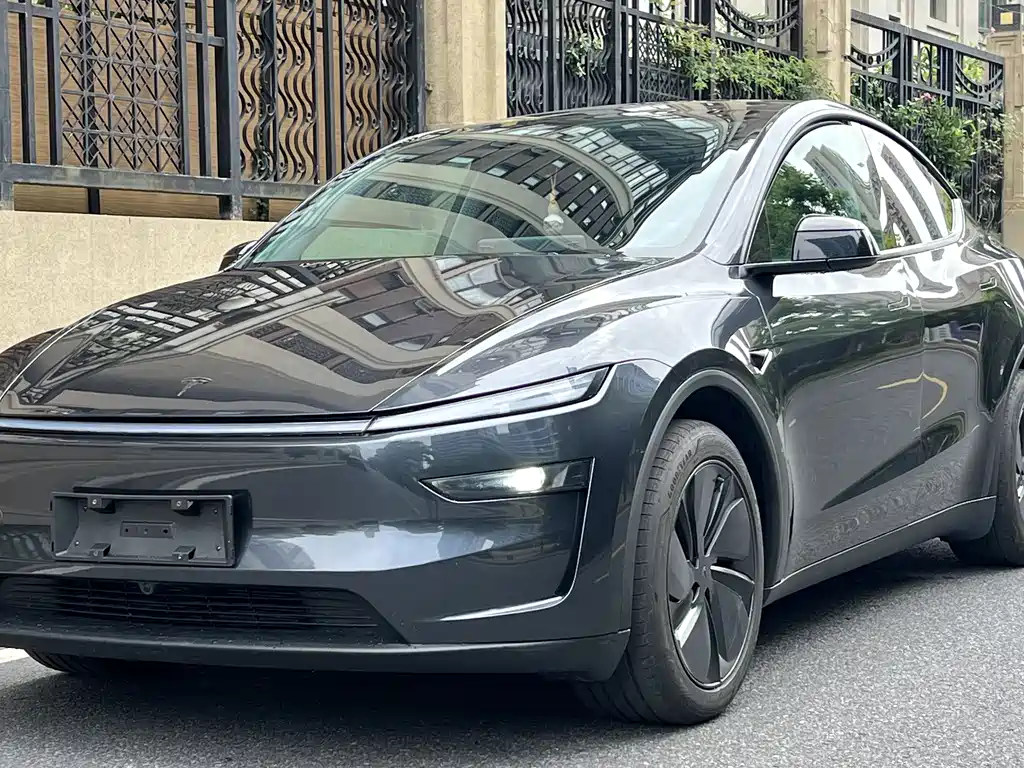 Tesla Model Y 2025 — фото 1
