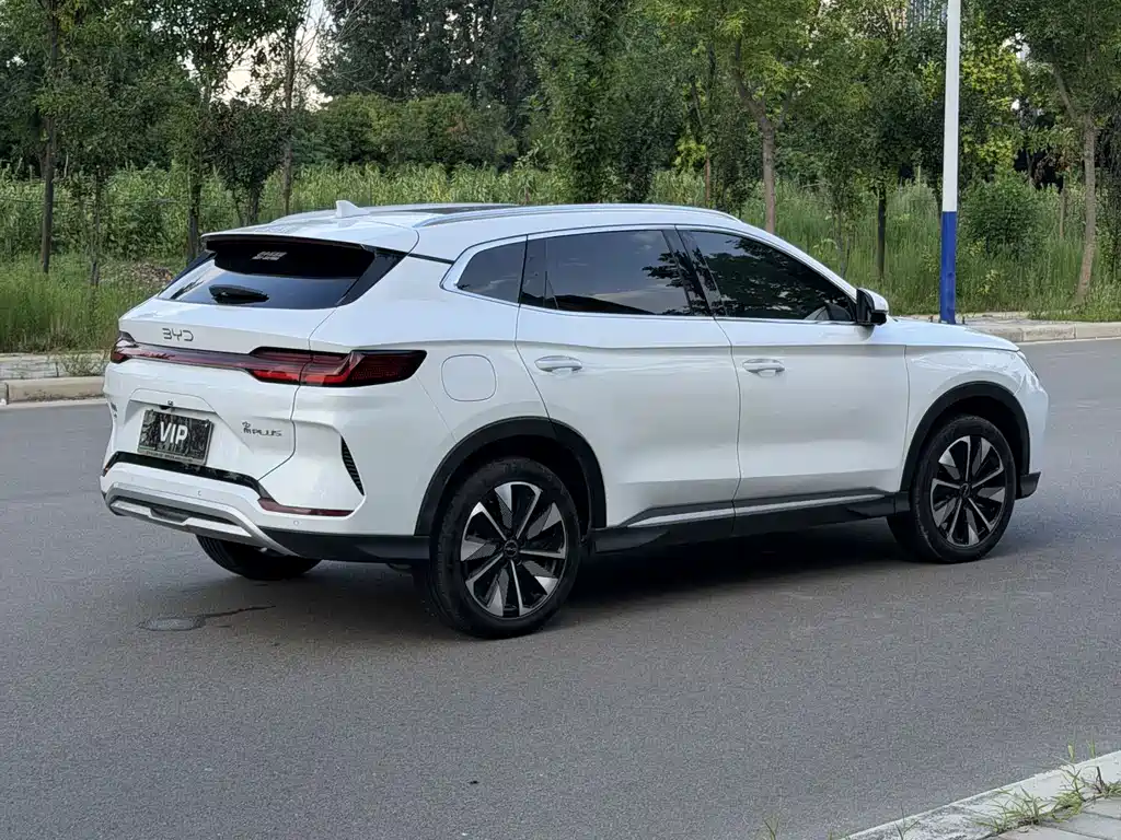 BYD Song PLUS New Energy 2024 — фото 4