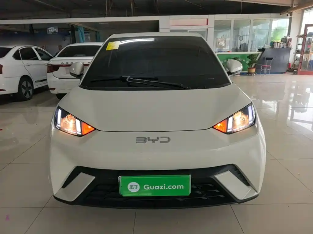 BYD Seagull 2024