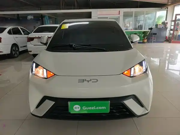 BYD Seagull 2024