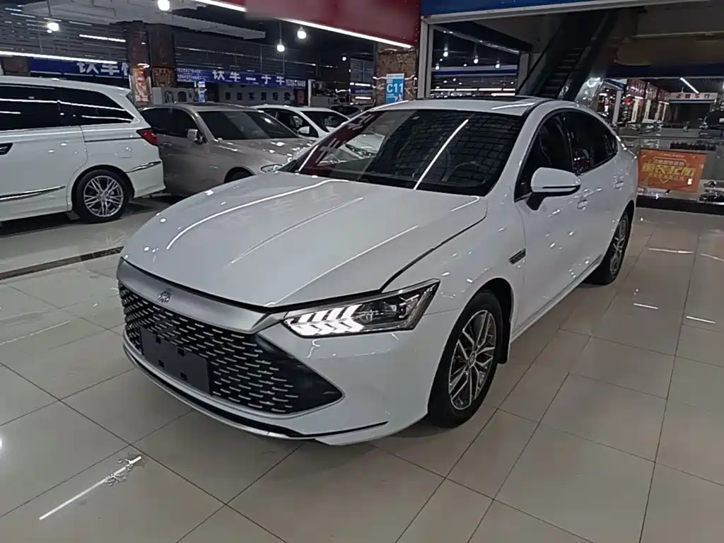 BYD Qin PLUS 2022 — фото 2