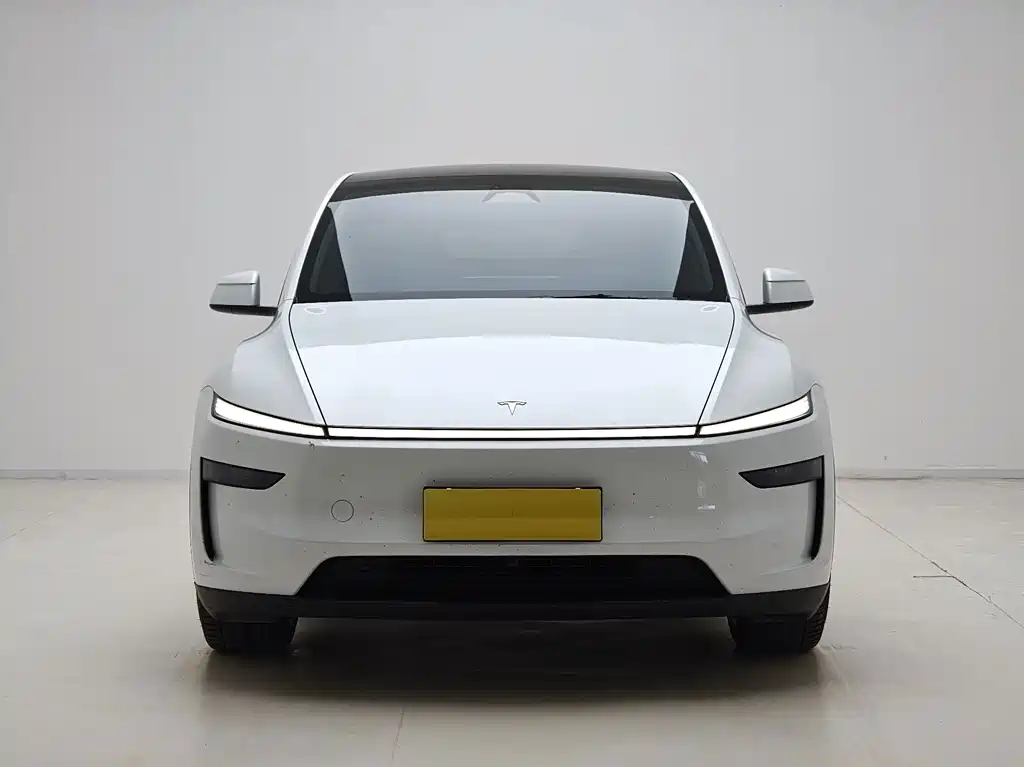 Tesla Model Y 2025 — фото 2