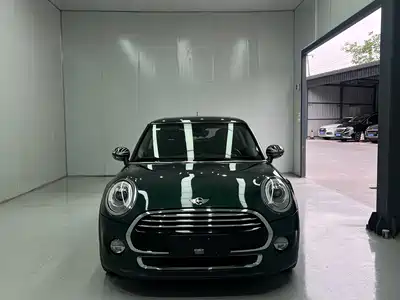 MINI MINI 2018
