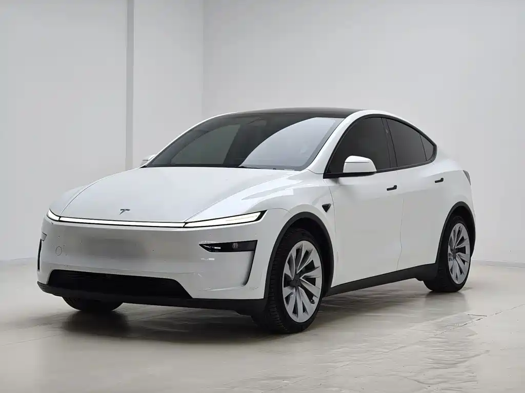 Tesla Model Y 2025 — фото 1