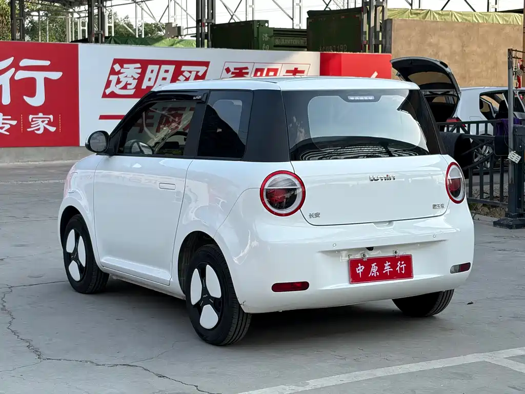 Qiyuan Lumin 2024 — фото 18
