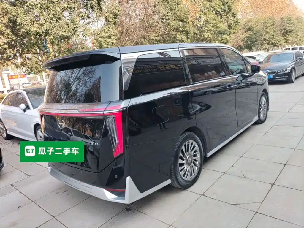 GAC Motor Trumpchi M8 2024 — фото 6