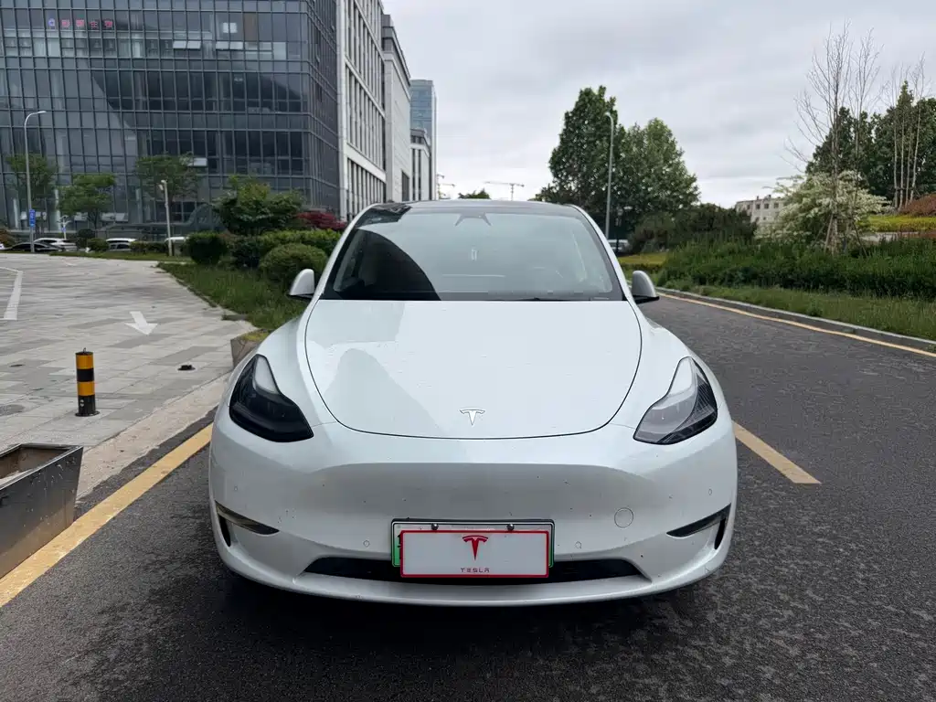 Tesla Model Y 2021
