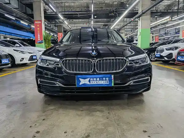 BMW 5 Series New Energy 2020
