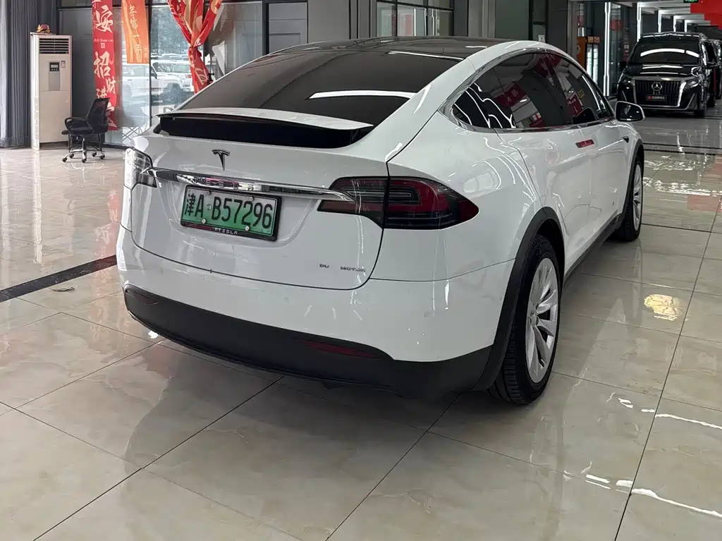 Tesla Model X 2019 — фото 16