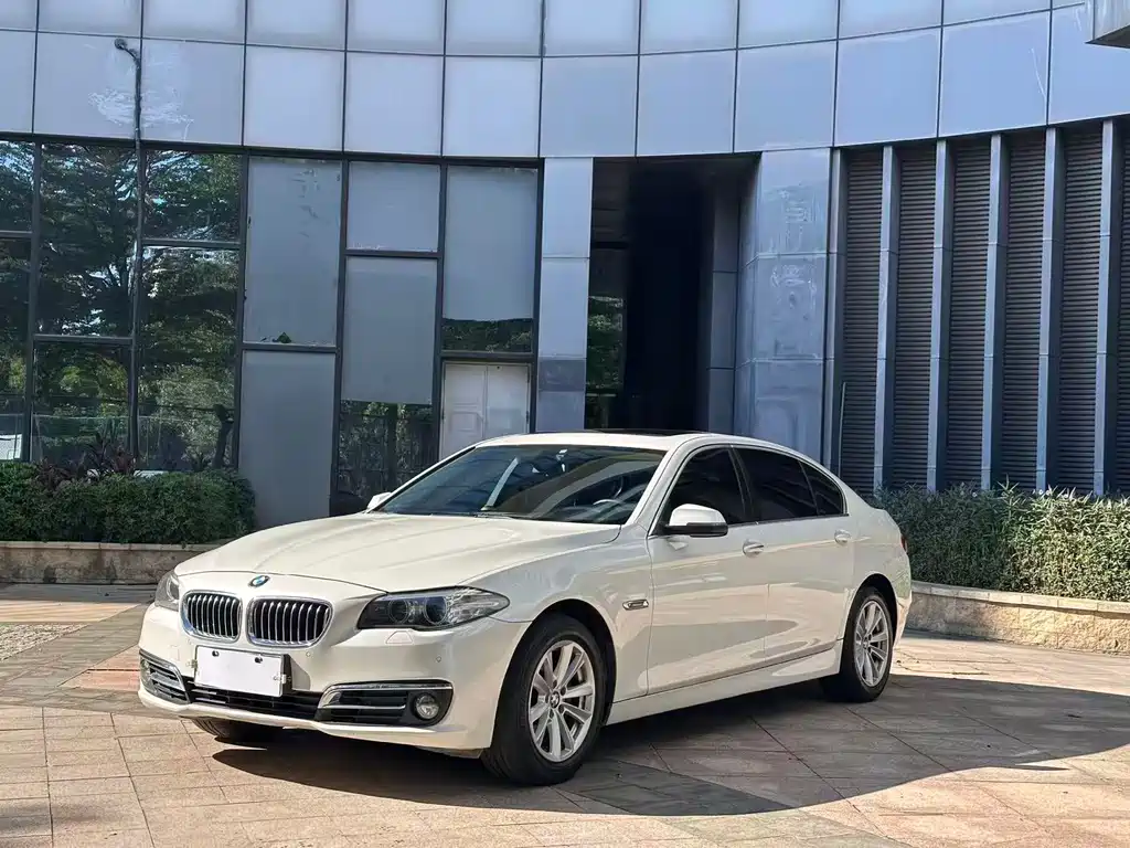 BMW 5 Series 2014 — фото 1