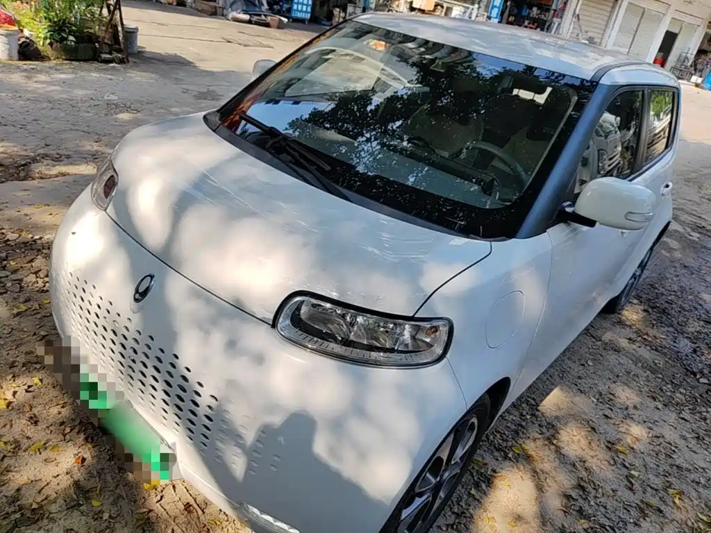 Ora White Cat 2021