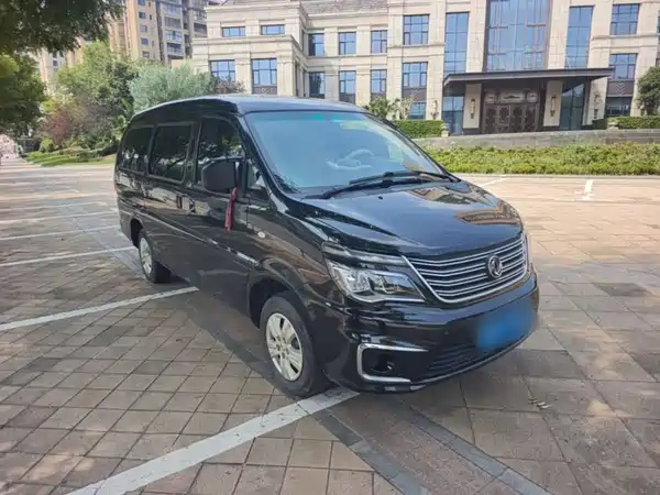 Dongfeng Lingzhi 2019