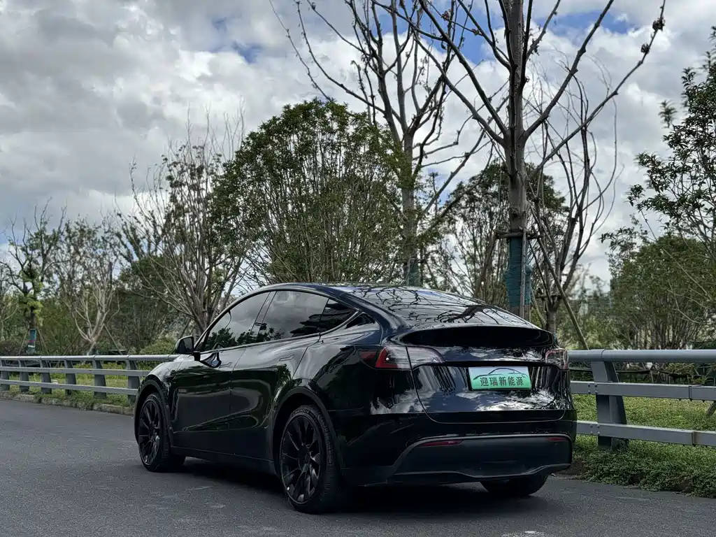 Tesla Model Y 2023 — фото 17