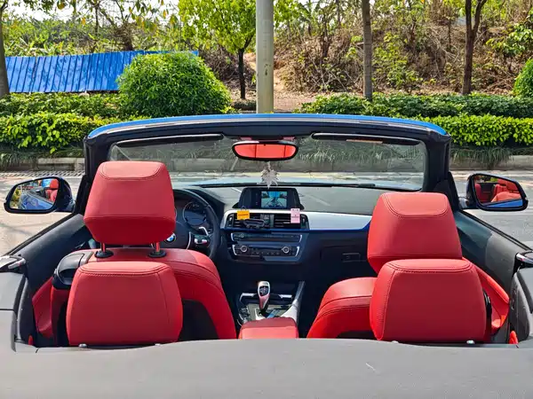 BMW 2 Series 2019