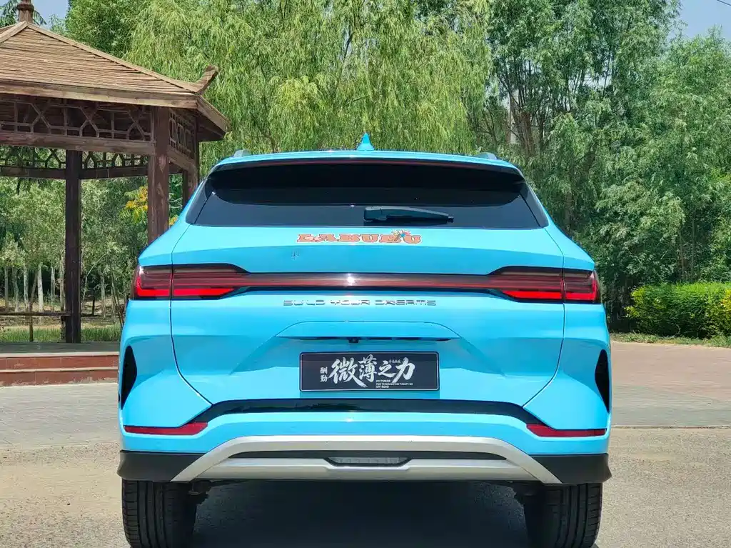 BYD Song PLUS New Energy 2024 — фото 8