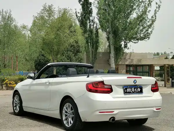 BMW 2 Series 2016