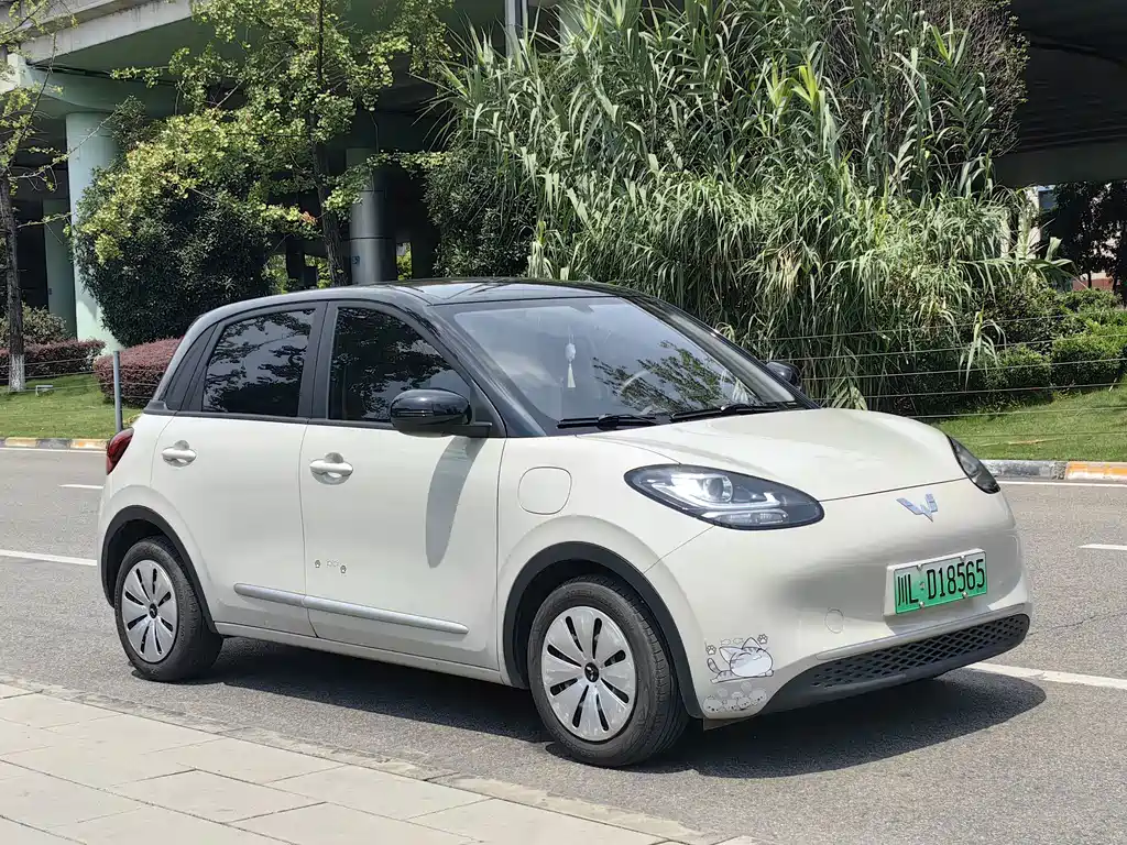 Wuling Bingo 2024