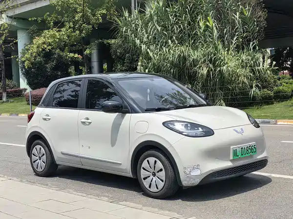 Wuling Bingo 2024
