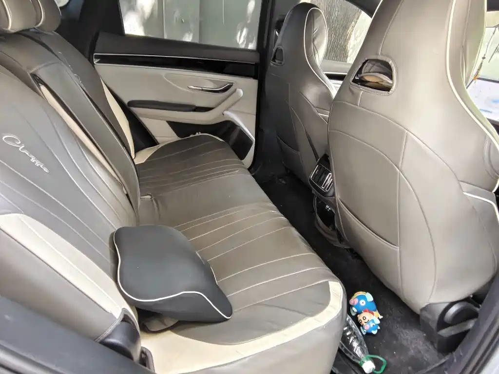 BYD Song PLUS New Energy 2024 — фото 4