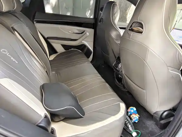 BYD Song PLUS New Energy 2024