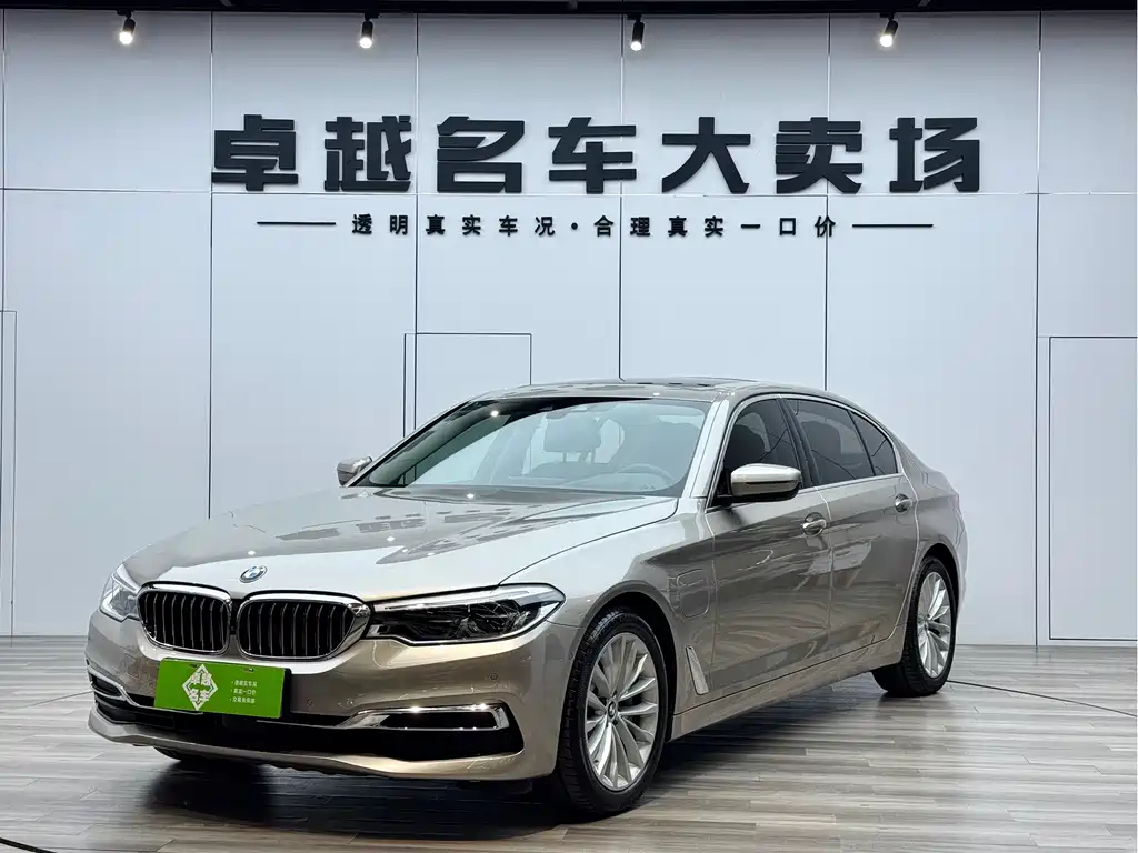 BMW 5 Series New Energy 2019