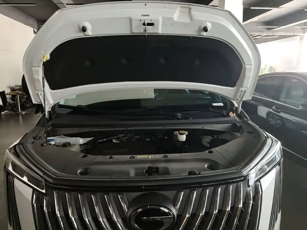 GAC Trumpchi M8 2025 — фото 20