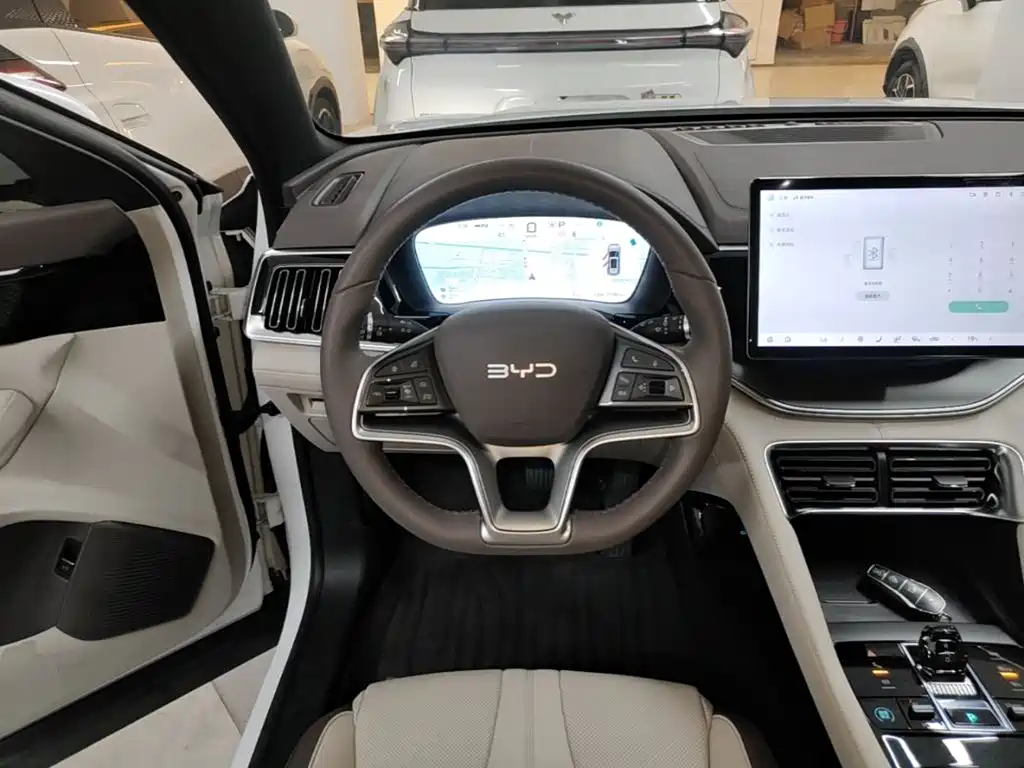 BYD Song PLUS New Energy 2024 — фото 11
