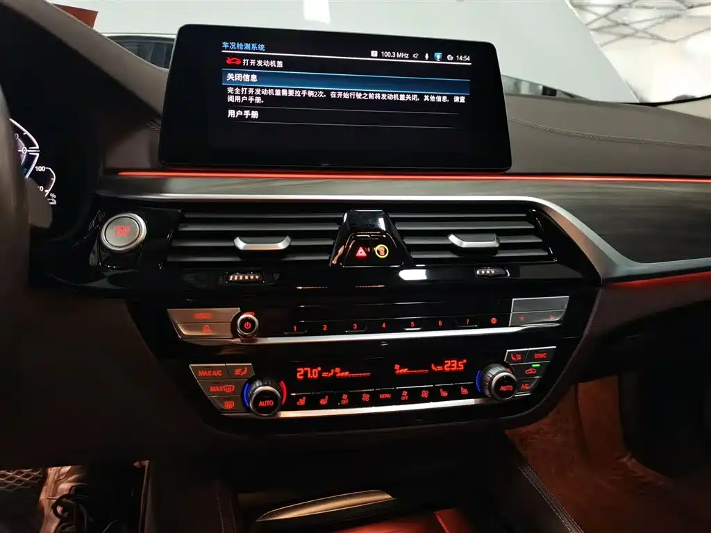 BMW 5 Series New Energy 2020 — фото 10
