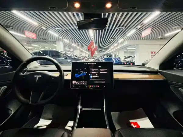 Tesla Model 3 2020