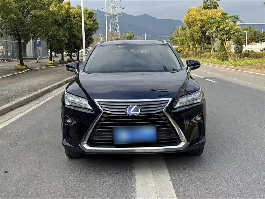 Lexus RX 2016 — фото 30