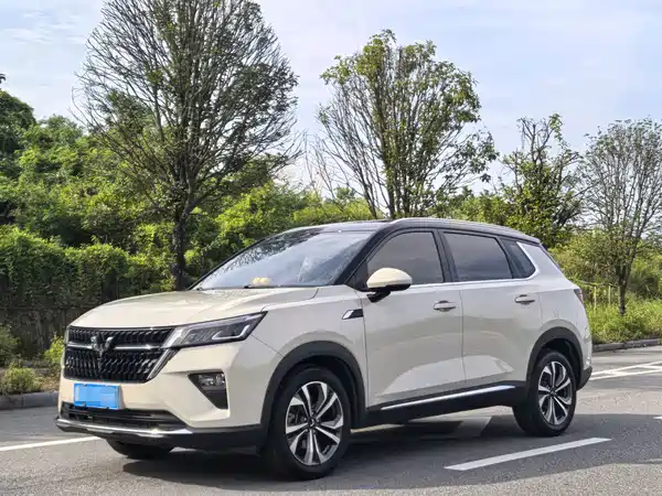 Wuling Star 2024