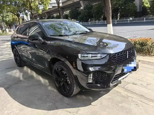 Wey VV7 2019