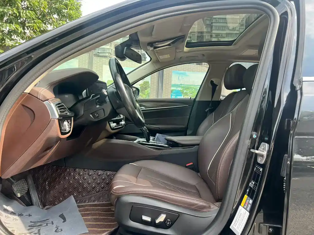 BMW 5 Series New Energy 2021