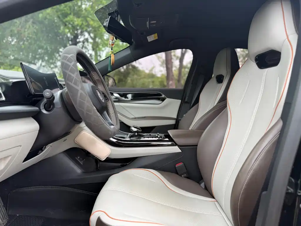 BYD Qin PLUS 2023 — фото 10