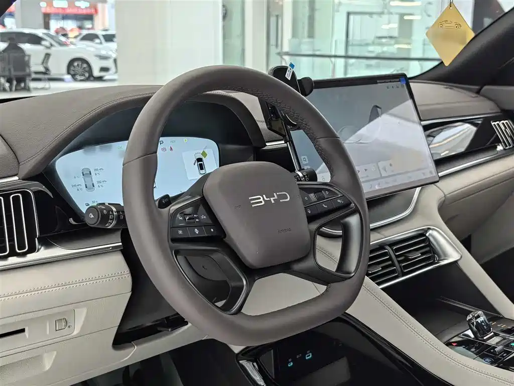 BYD PLUS New Energy 2025 — фото 19
