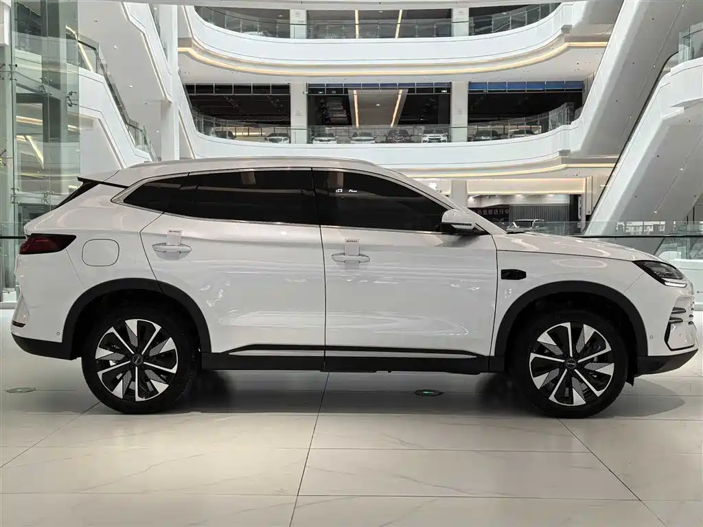 BYD PLUS New Energy 2025 — фото 9