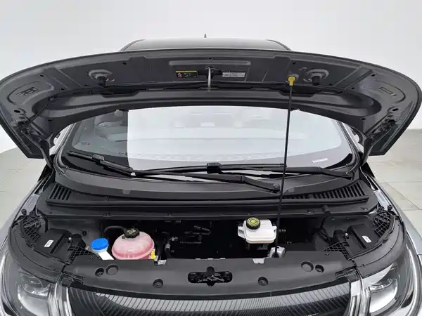 BYD Dolphin 2022