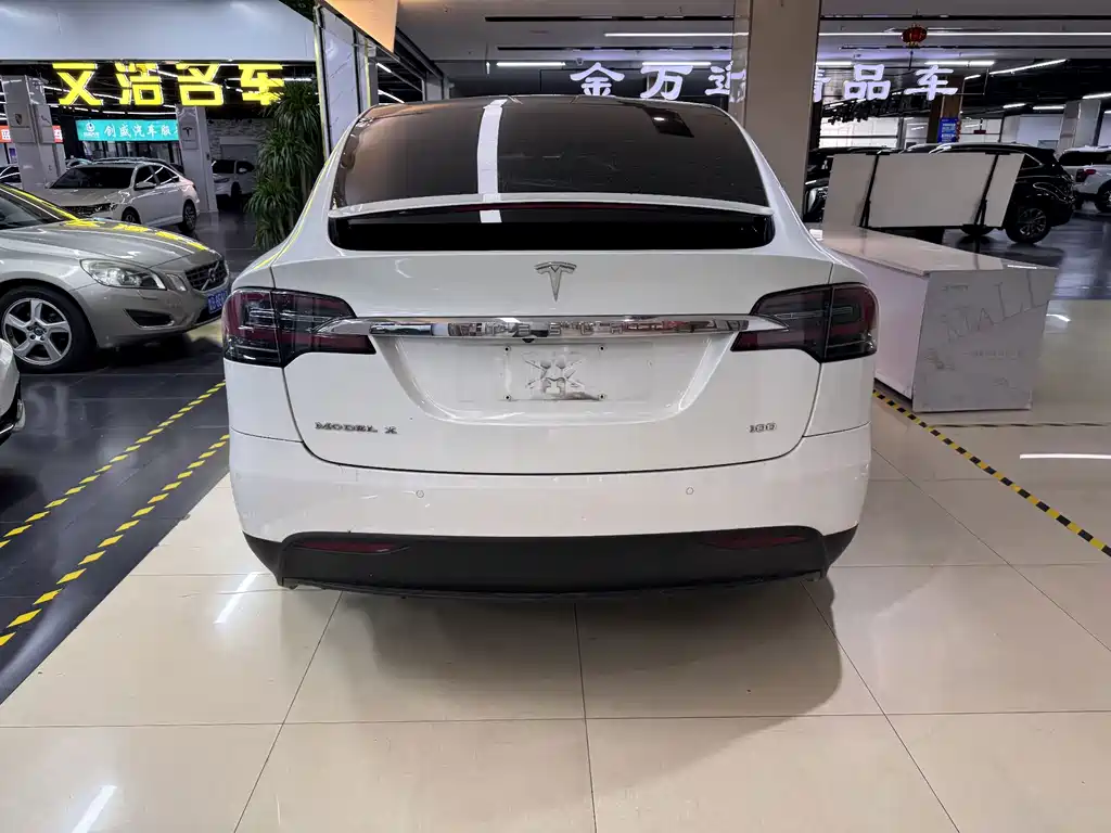 Tesla Model X 2017 — фото 7
