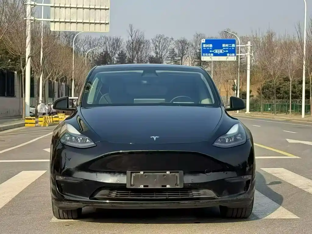 Tesla Model Y 2021 — фото 2