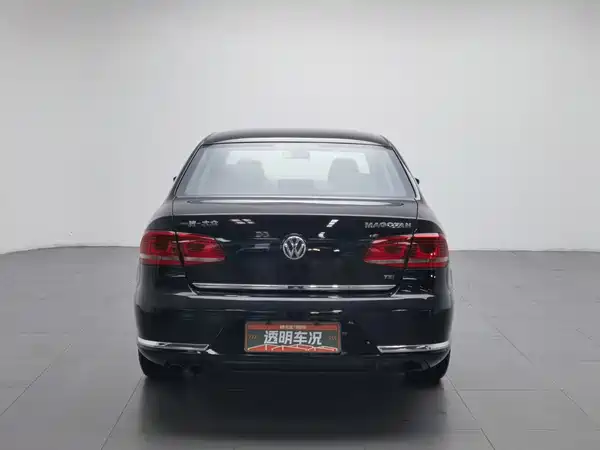 Volkswagen Magotan 2014