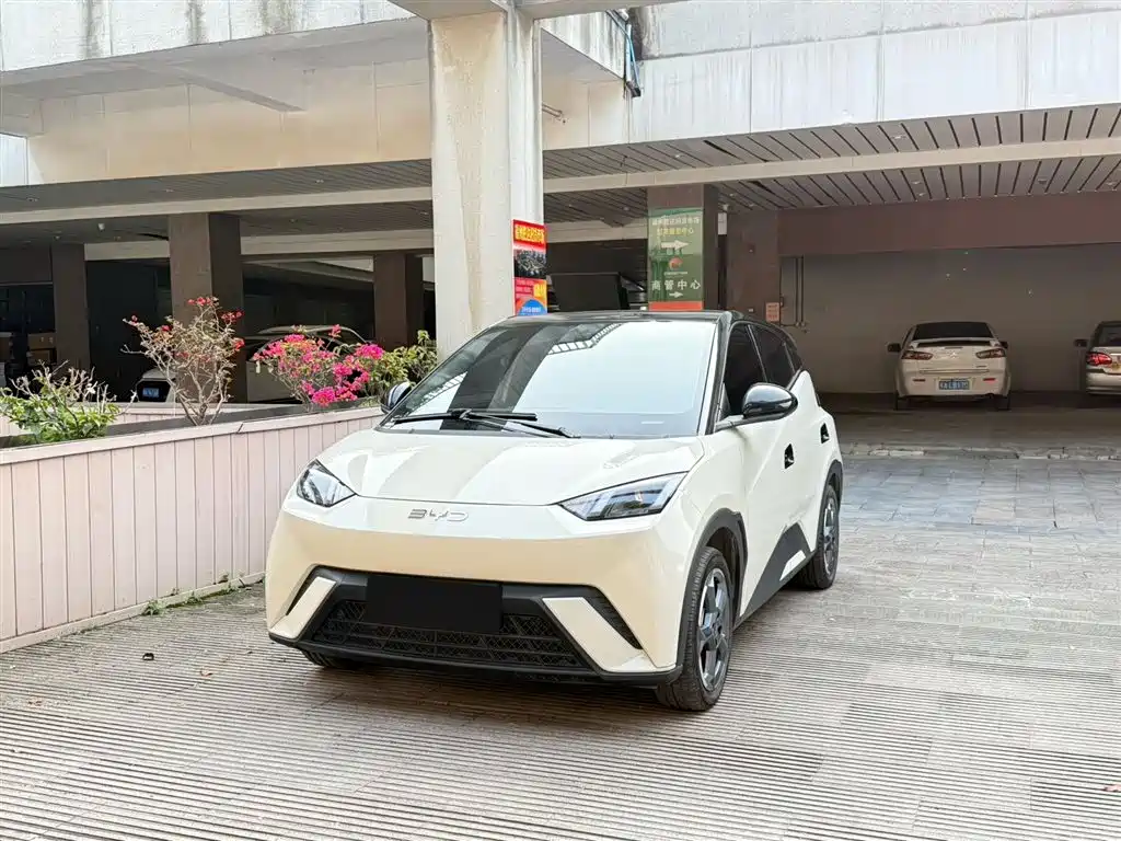 BYD Seagull 2024