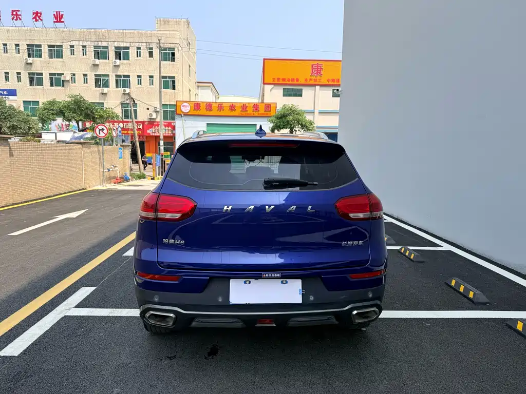 Haval H6 2019 — фото 8