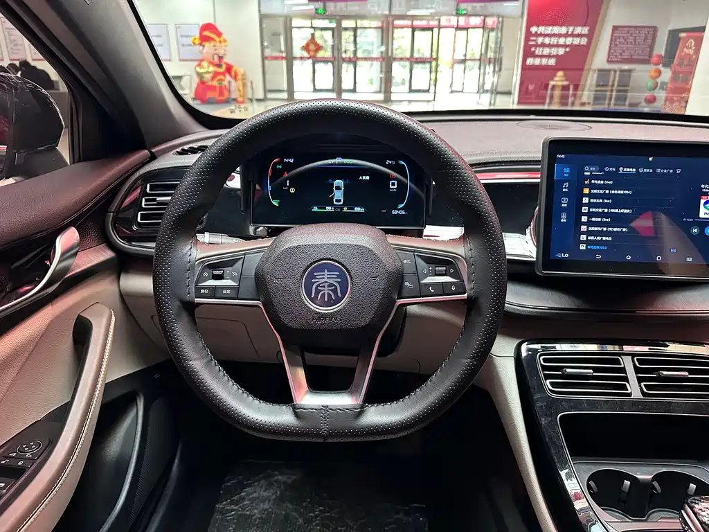 BYD Qin PLUS 2024 — фото 14