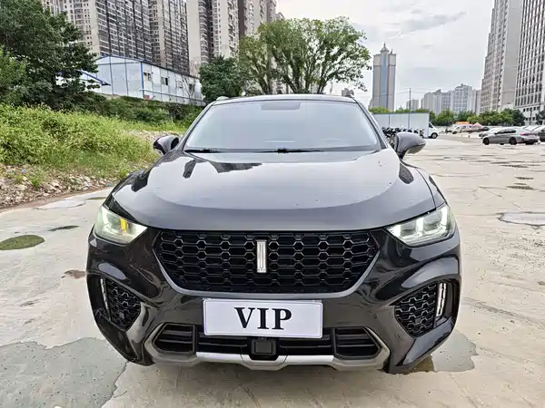 Wey VV5 2019