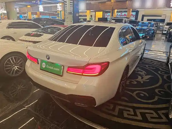 BMW 5 Series New Energy 2022