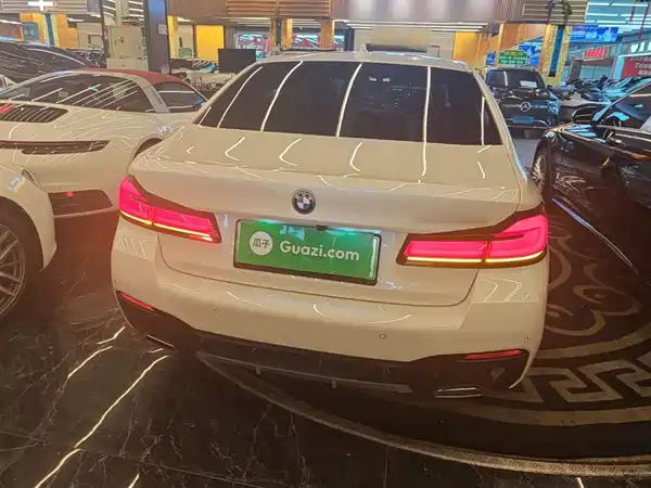 BMW 5 Series New Energy 2022