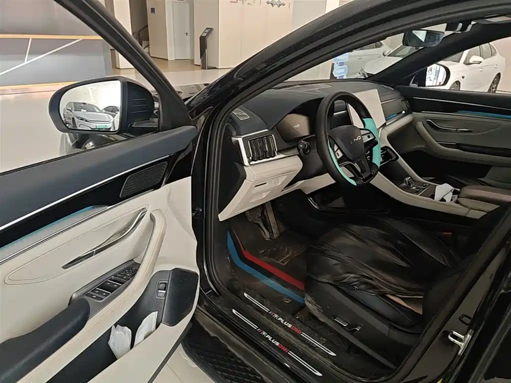 BYD PLUS New Energy 2024 — фото 16