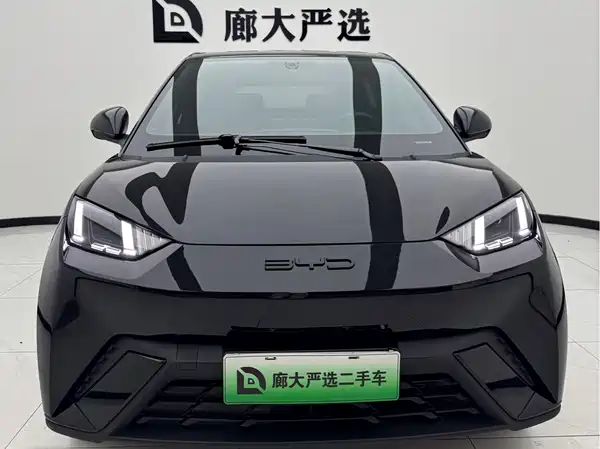 BYD Seagull 2023